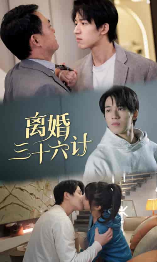 离婚三十六计（96集） - 紫橙阁短剧