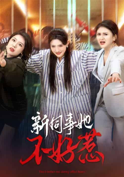 新同事她不好惹（37集全）常丹丹＆钟莹玲 - 紫橙阁短剧
