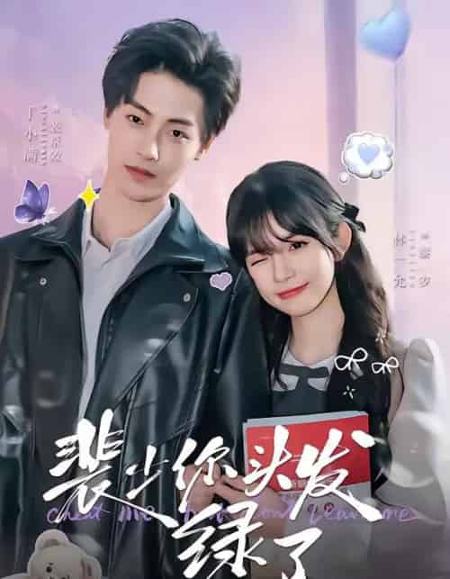 裴少你头发绿了（80集全）丁小满＆林一允-紫橙网创项目网