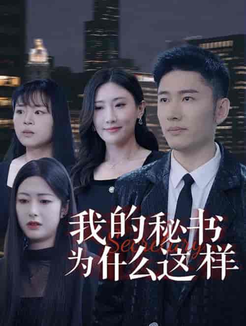 我的秘书为什么这样（94集全） - 紫橙阁短剧