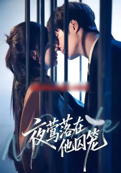 夜莺落在他囚笼(74集全)冯祥琨&吴翎薇-紫橙网创项目网