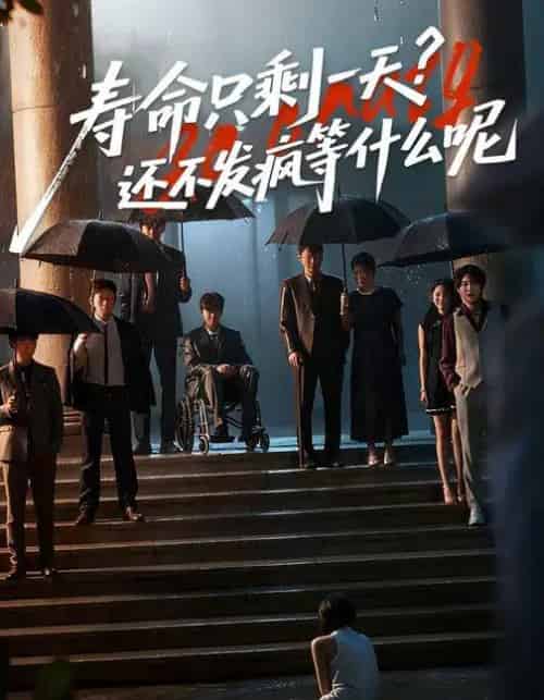 寿命只剩一天,还不发疯等什么呢 (70集全) 林七月&姜子健-紫橙网创项目网