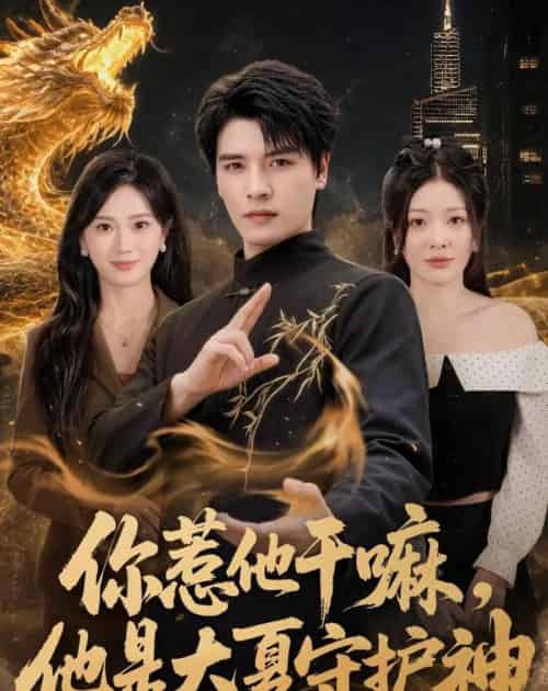 你惹他干嘛，他是大夏守护神（78集全）李彬航＆林初-紫橙网创项目网