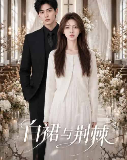 白裙与荆棘(37集全)AI-紫橙网创项目网