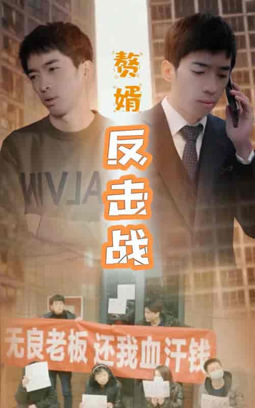 赘婿反击战-100集 - 紫橙阁短剧