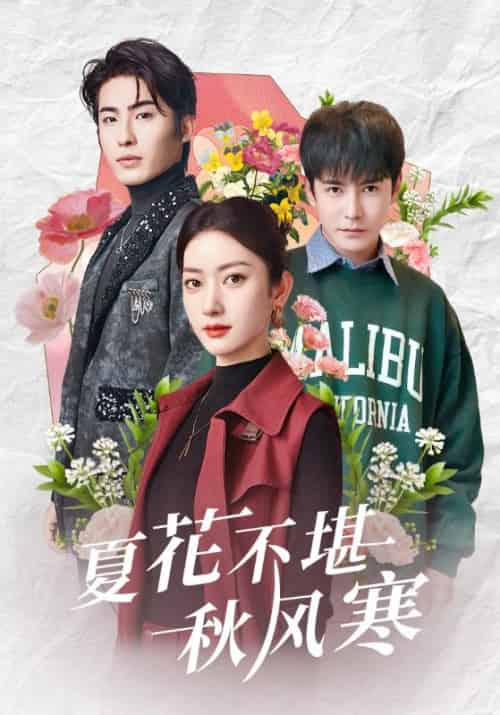 夏花不堪秋风寒（79集全）张玉娇＆李子峰 - 紫橙阁短剧