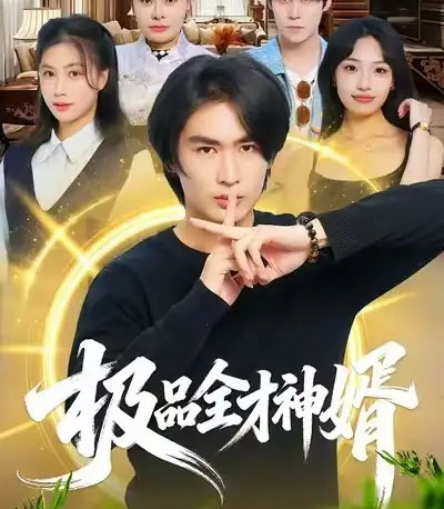极品全才神婿（67集全）贺熙遥＆徐梓舒-紫橙网创项目网