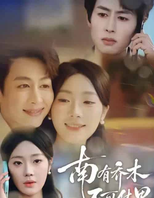 南有乔木，不可休思（68集全）邢航铭＆孔祥东-紫橙网创项目网