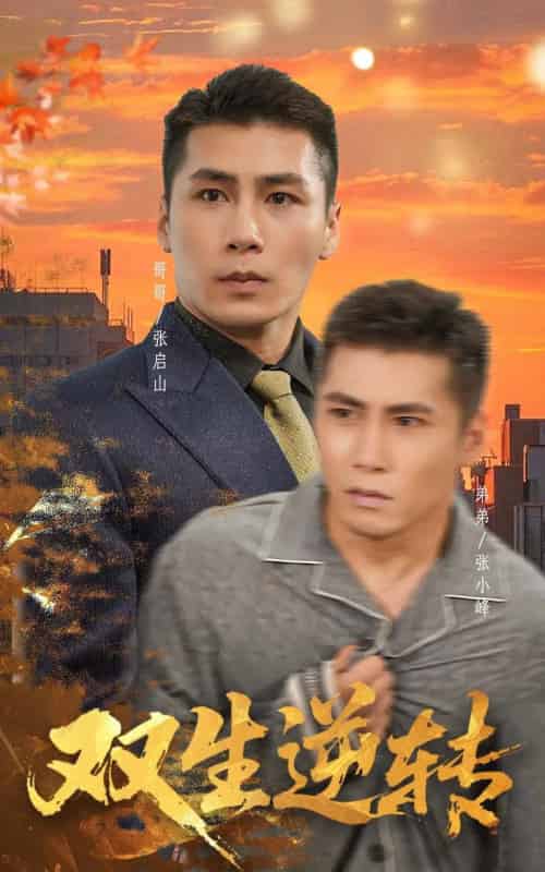 双生逆转(60集全)王妍-紫橙网创项目网