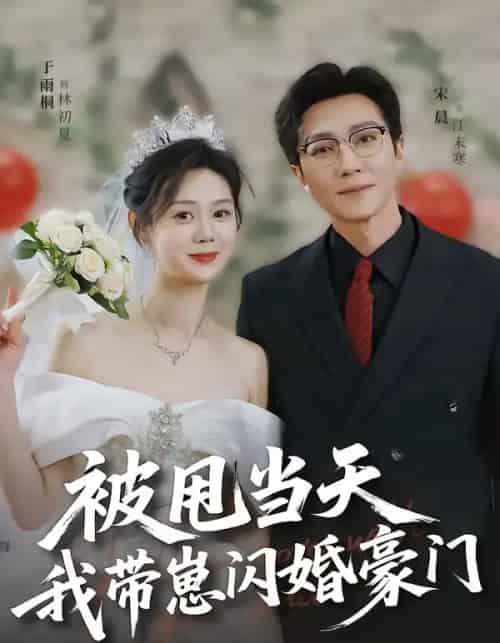 被甩当天我带崽闪婚豪门 被甩当天我带崽闪婚豪门