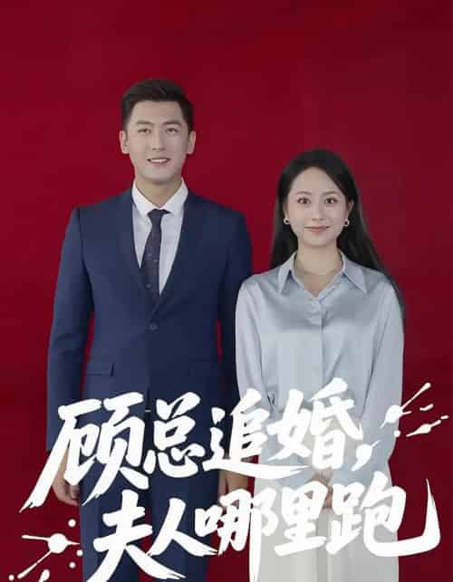 顾总追婚夫人哪里跑（100集） - 紫橙阁短剧