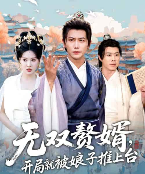 无双赘婿开局就被娘子推上台（80集） - 紫橙阁短剧