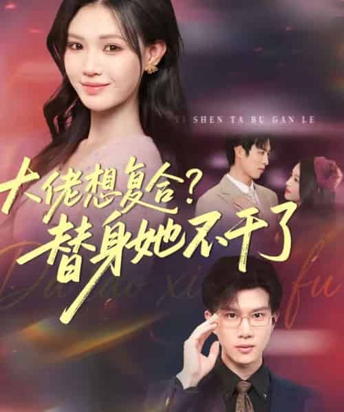 大佬想复合？替身她不干了＆大佬想复合替身她不干了（48集全）赵赫为＆丁紫嫣-紫橙网创项目网