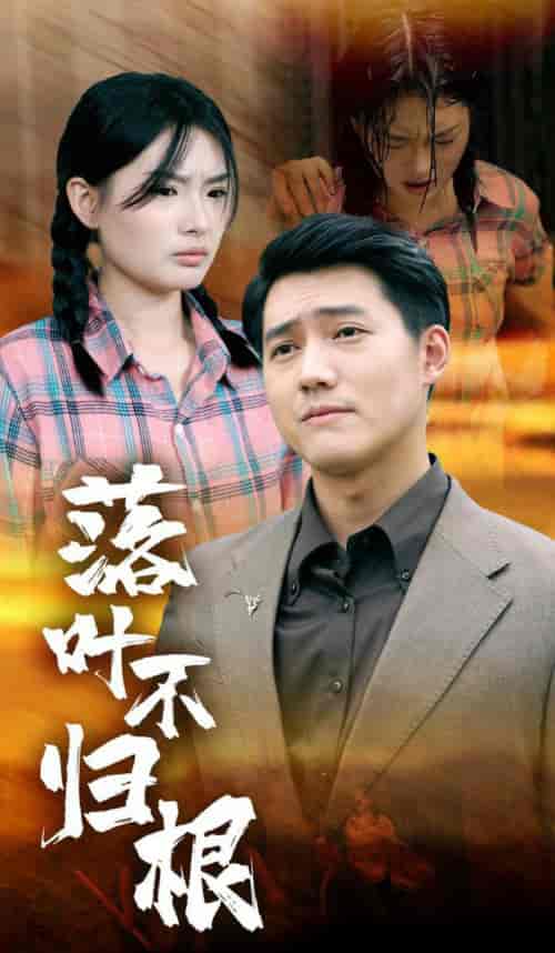 落叶不归根（54集全） - 紫橙阁短剧