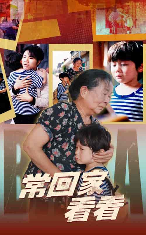 常回家看看（40集全） - 紫橙阁短剧