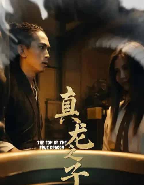 真龙之子＆灵途＆龙娘（20集全） - 紫橙阁短剧