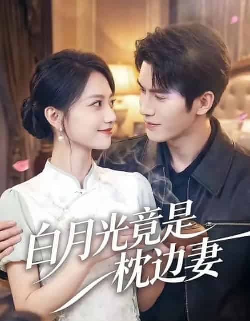 白月光竟是枕边妻（50集全）席如意＆韩品杰-紫橙网创项目网