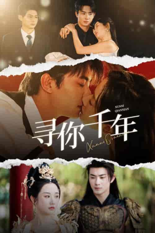 寻你千年＆千年后我依旧爱你（48集全）卢奂瑜＆张晋宜 - 紫橙阁短剧