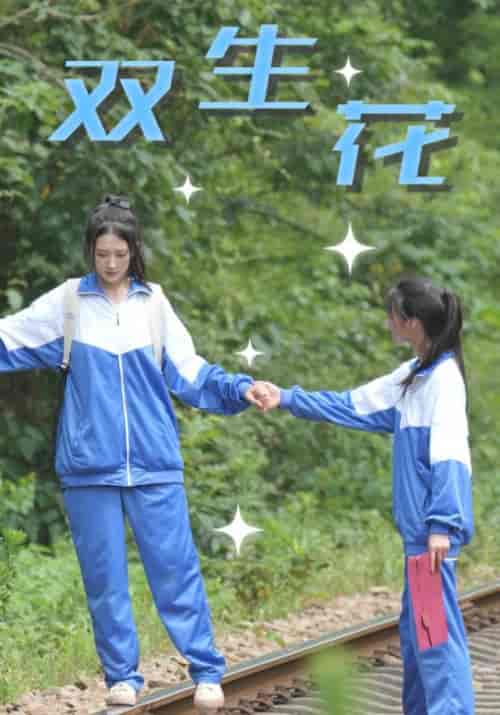 双生花需改名（36集全）王凯＆陈北月 - 紫橙阁短剧