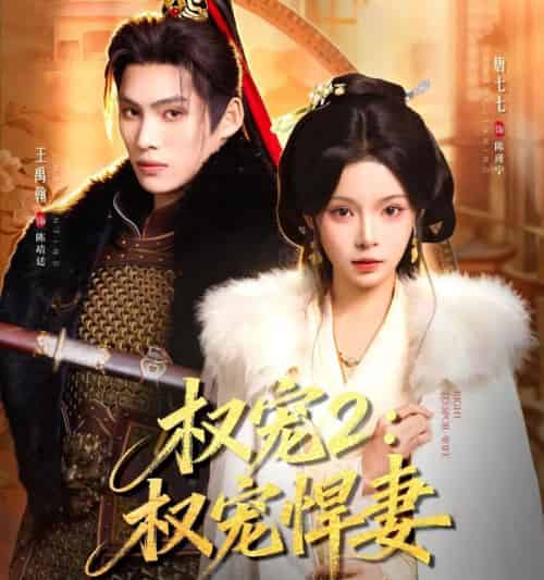 权宠2：权宠悍妻（81集全）王禹翰＆唐七七-紫橙网创项目网