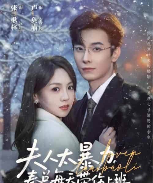 夫人太暴力,秦总每天带伤上班(80集全)卢奂瑜&张楸梓-紫橙网创项目网