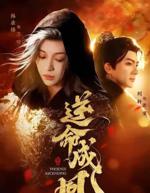 逆命成凰（70集全）刘轩＆韩录锦-紫橙网创项目网