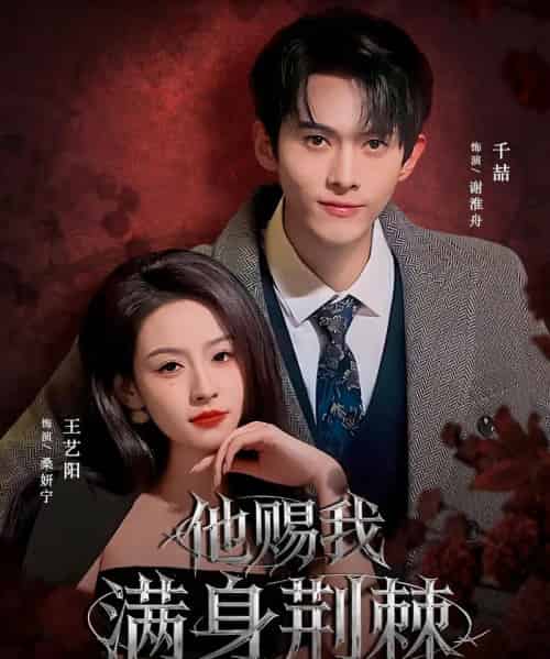 他赐我满身荆棘（80集全）千喆＆王艺阳（情侣档）-紫橙网创项目网