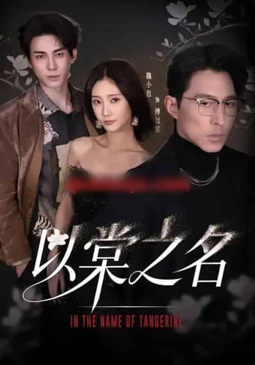 以棠之名（66集全）魏小也＆冯文栋 - 紫橙阁短剧