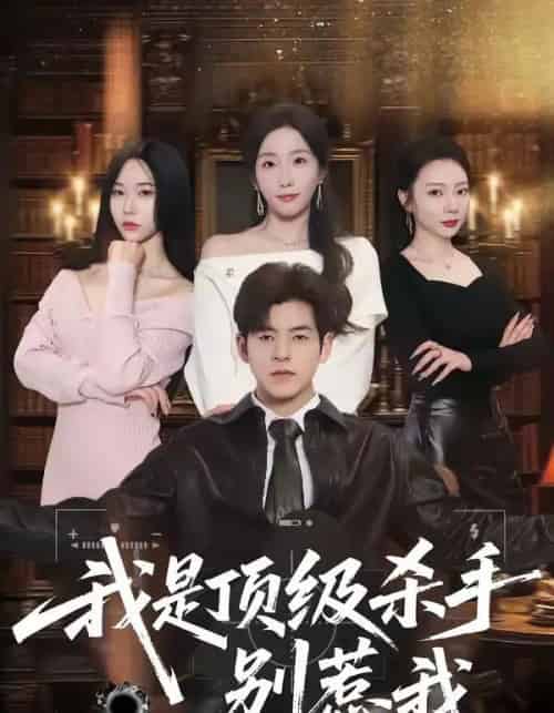 我是顶级杀手,别惹我(74集全)陶律&知微-紫橙网创项目网
