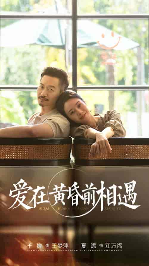 爱在黄昏前相遇（65集） - 紫橙阁短剧