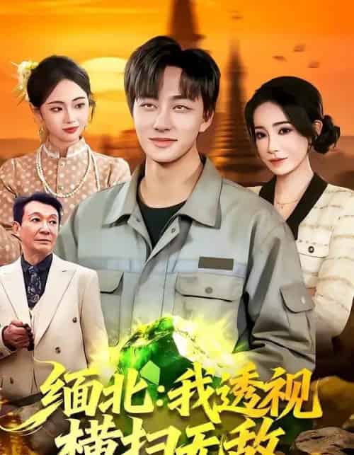 缅北：我透视横扫无敌（101集全）董兆霖＆吴欣旖-紫橙网创项目网