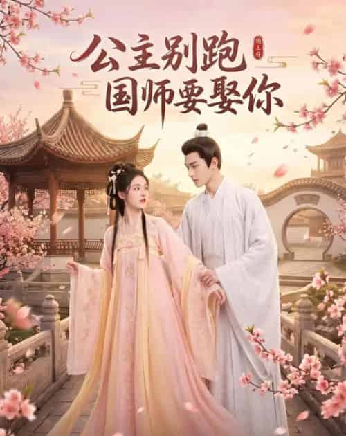 公主别跑,国师要娶你(16集全)AI-紫橙网创项目网