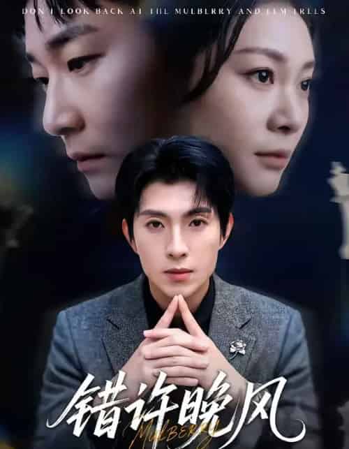 错许晚风(60集全)李兼任&宋雯娟-紫橙网创项目网