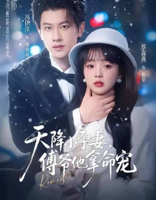 天降小孕妻，傅爷他拿命宠（76集全）冯伊洋＆蔡淼燕-紫橙网创项目网