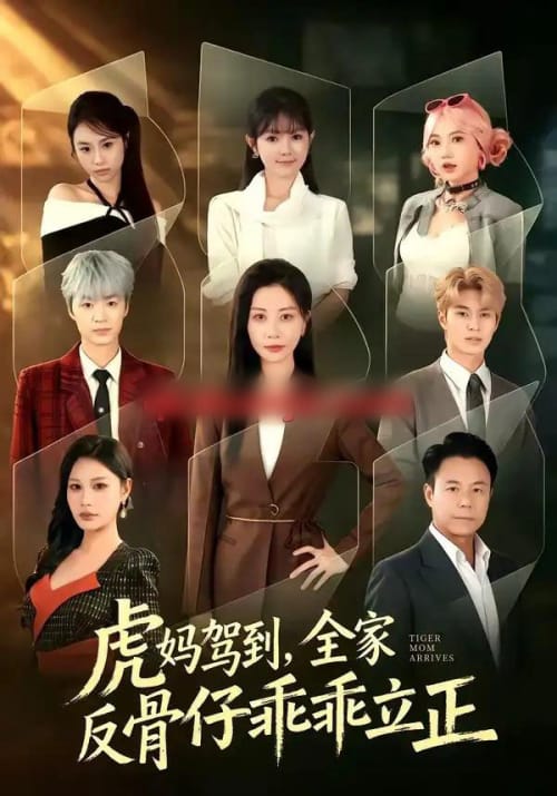 虎妈驾到,全家反骨仔乖乖立正(72集全)胡春源&刘清心-紫橙网创项目网
