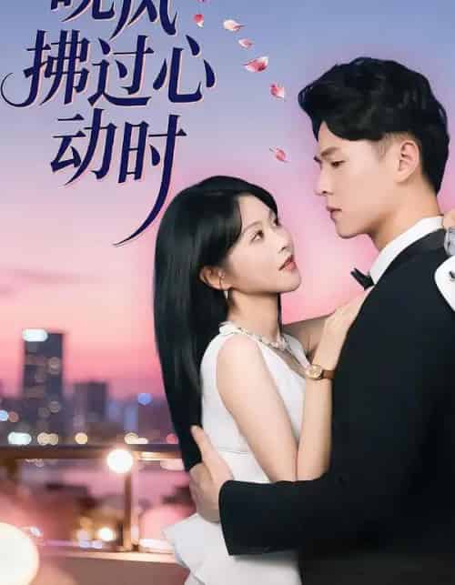 晚风拂过心动时（78集全）朱韵知＆李俊麟-紫橙网创项目网