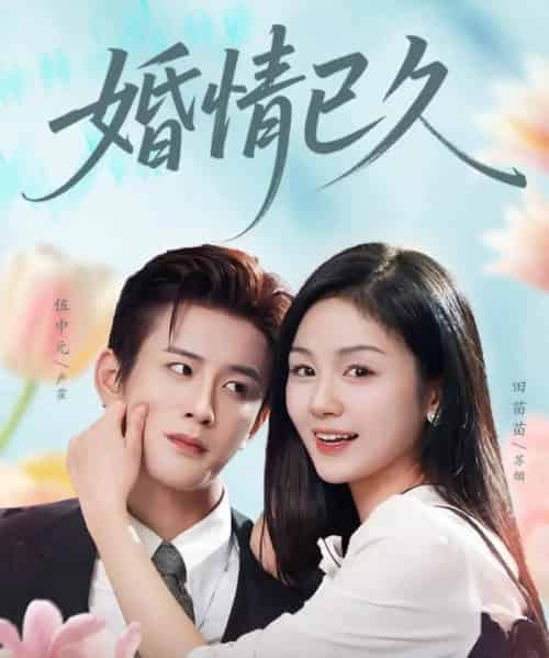 婚情已久(80集全)伍中元&田苗苗-紫橙网创项目网