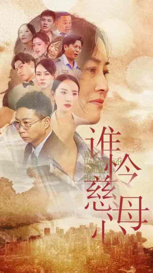 谁怜慈母心（46集全） - 紫橙阁短剧
