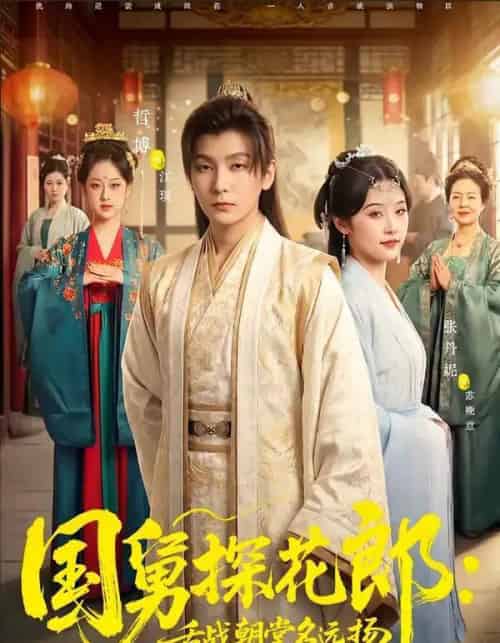 国舅探花郎:舌战朝堂名远扬(81集全)哲博&张凡妮-紫橙网创项目网