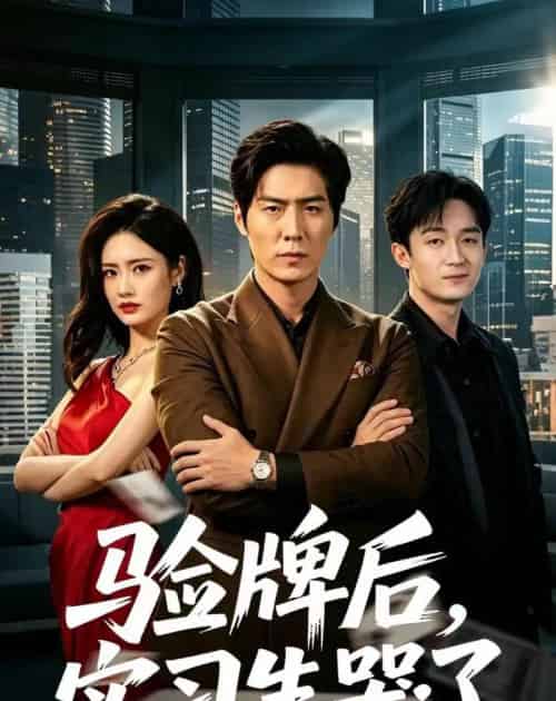 验牌后,实习生哭了(51集全)张凡&邹雅涵-紫橙网创项目网