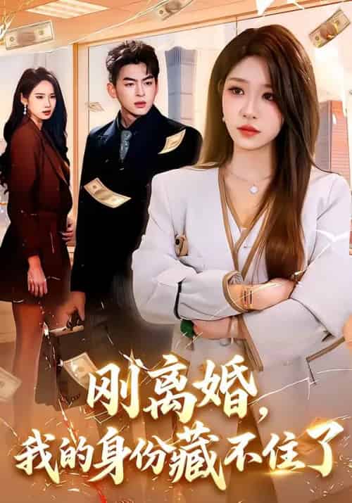 刚离婚，我的身份藏不住了（100集全）朱佳琪＆天养-紫橙网创项目网