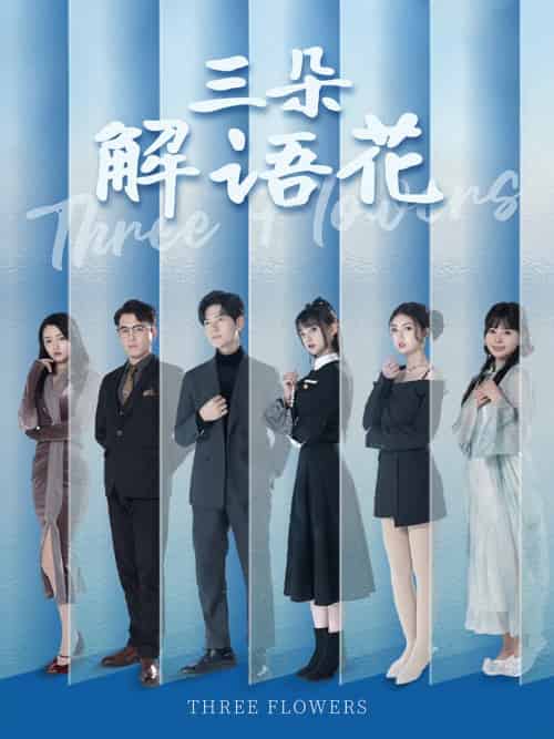 三朵解语花（92集全）邵迪＆梦娜＆卢巧 - 紫橙阁短剧