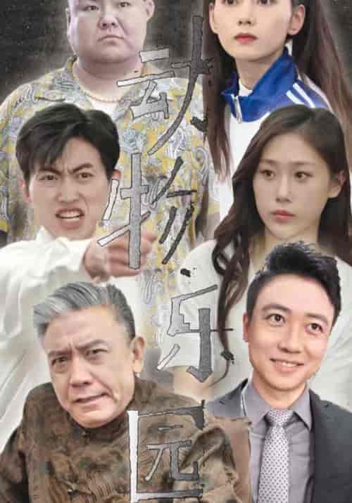 动物乐园（57集全）黎肖＆哲哲 - 紫橙阁短剧