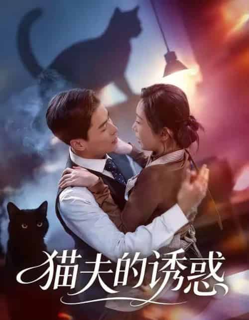 猫夫的诱惑（52集全）朱鹏＆陈安琪-紫橙网创项目网