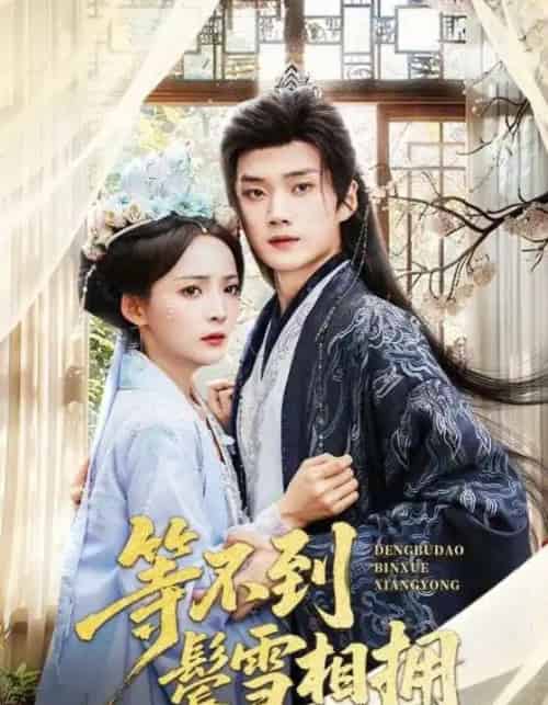 等不到鬓雪相拥（61集）李蔚蓝＆许丹 - 紫橙阁短剧