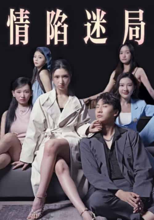 情陷迷局（38集全）付辛＆魏莱 - 紫橙阁短剧