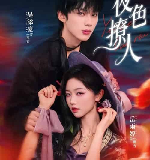 夜色撩人（76集全）岳雨婷＆吴添豪-紫橙网创项目网