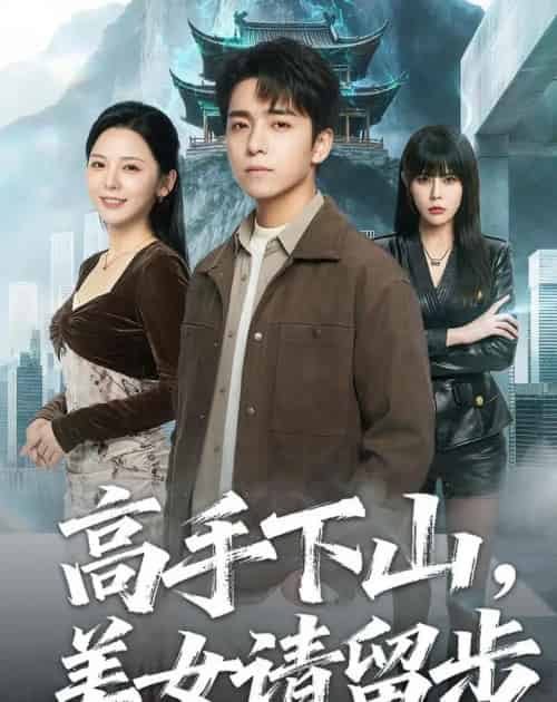 高手下山,美女请留步(80集全)金大钟&李图图-紫橙网创项目网