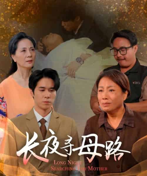 长夜寻母路（61集全）岳樾＆许敏 - 紫橙阁短剧