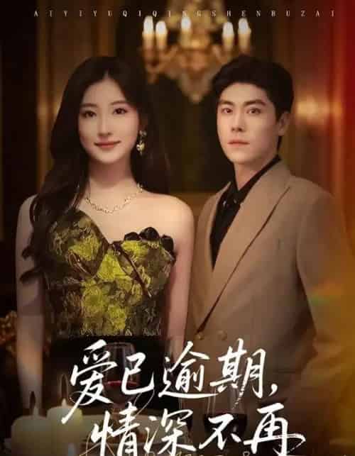 爱已逾期，情深不再（61集全）张欣＆王如玮-紫橙网创项目网